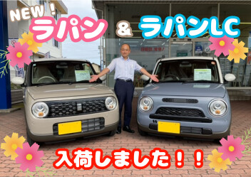 新型ダブルラパン入荷(*^-^*)